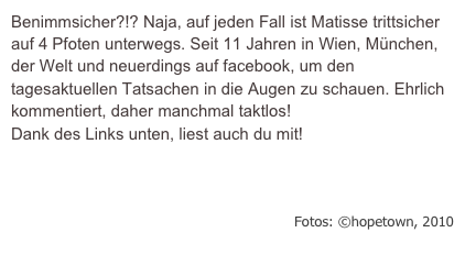 Benimmsicher?!? Naja, auf jeden Fall ist Matisse trittsicher auf 4 Pfoten unterwegs. Seit 11 Jahren in Wien, München, der Welt und neuerdings auf facebook, um den tagesaktuellen Tatsachen in die Augen zu schauen. Ehrlich kommentiert, daher manchmal taktlos!
Dank des Links unten, liest auch du mit!

livepage.apple.com

Fotos: ©hopetown, 2010
